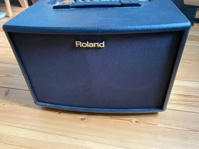 Roland acoustic 60 amp