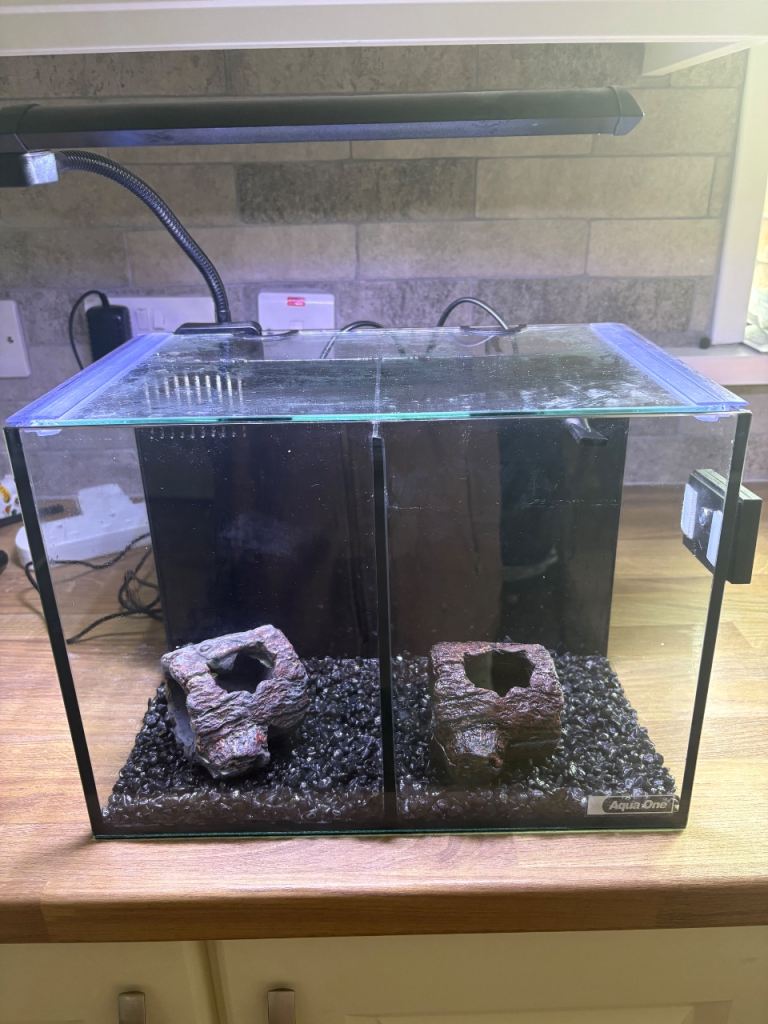 Fish tank 