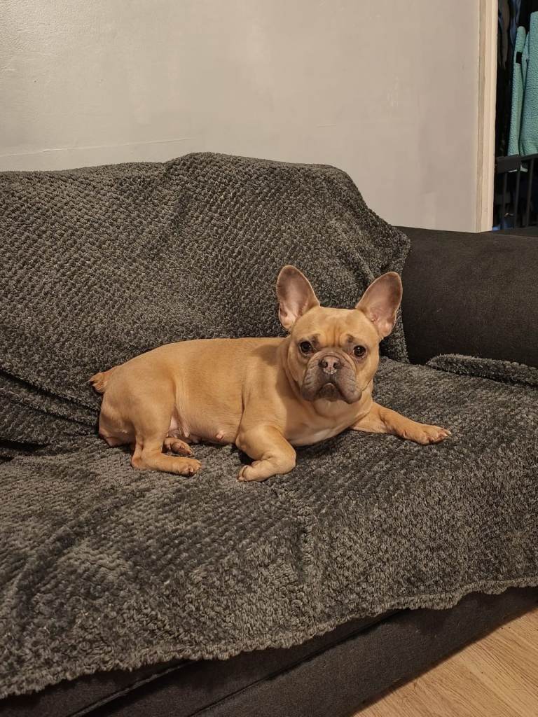 Pebbles 