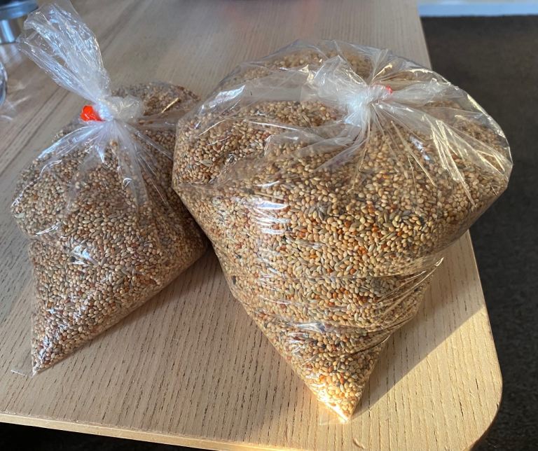 Budgie seeds