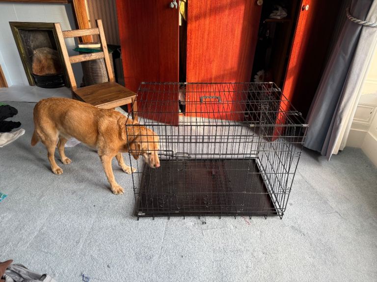 Large dog crate - free