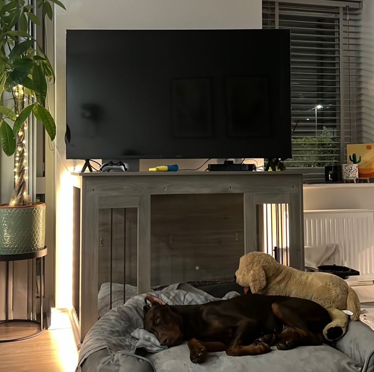 Large PawHut Dog Crate Furniture