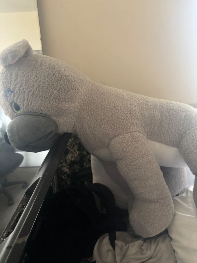 2 x giant teddies 