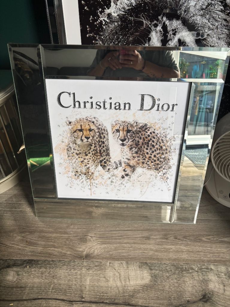 Christian Dior Cheetah Print Mirrored Picture new 