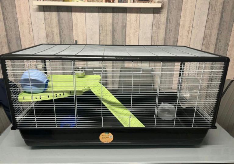 Hamster cage pet 