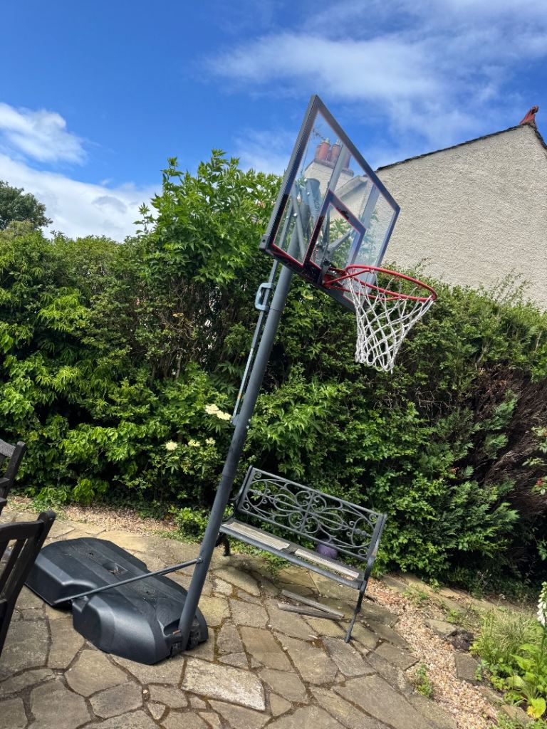Lifetime Basketball Hoop and Stand 