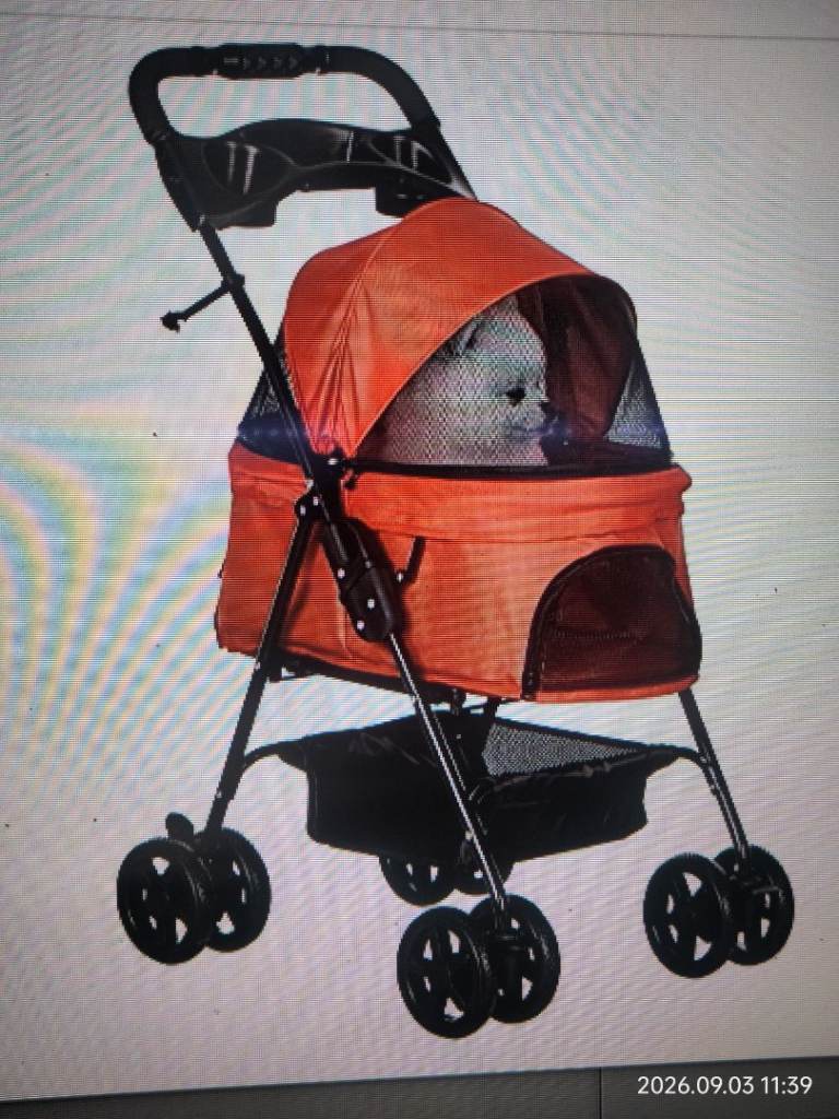 Dog stroller with safety leashes