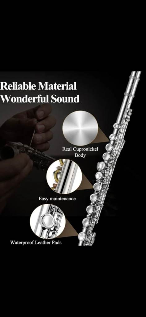 Beginner Flute lesson