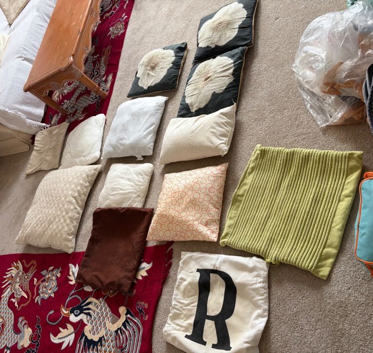 Mixed Lot of Cushions and Cushion Covers – Good Condition
