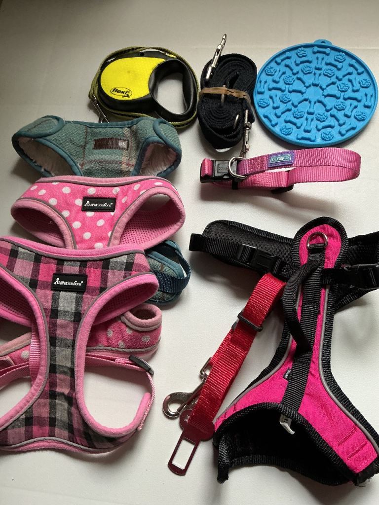 Dog accessories 