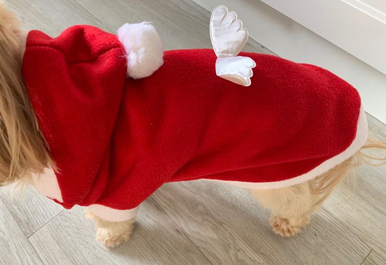 image for Santa dog coat suitable for med size popper fastening chest 52cms length 42cms vgc 