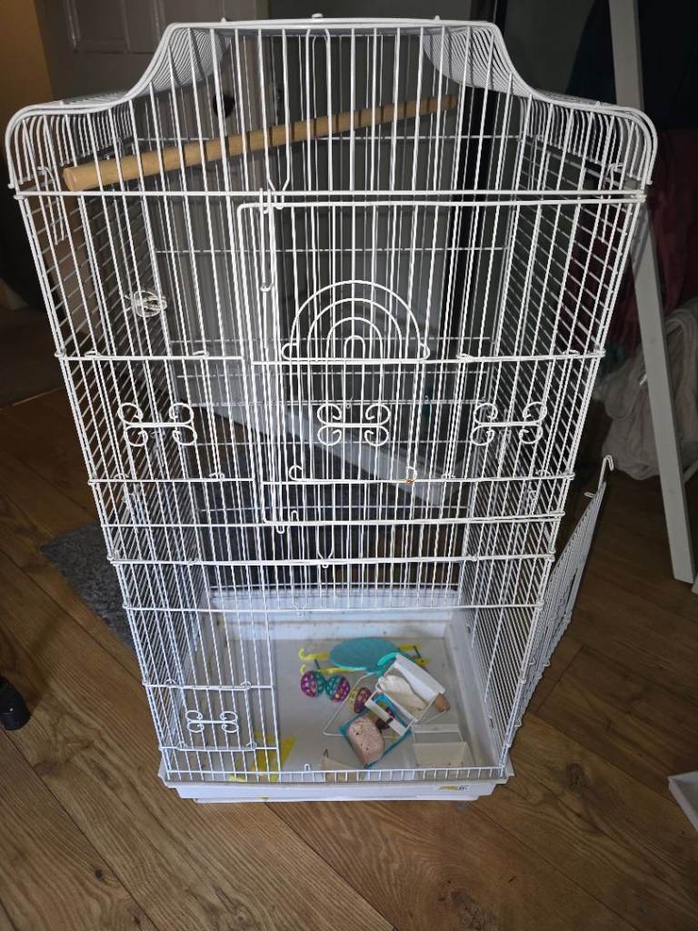 Bird cage & Toys NEED GONE