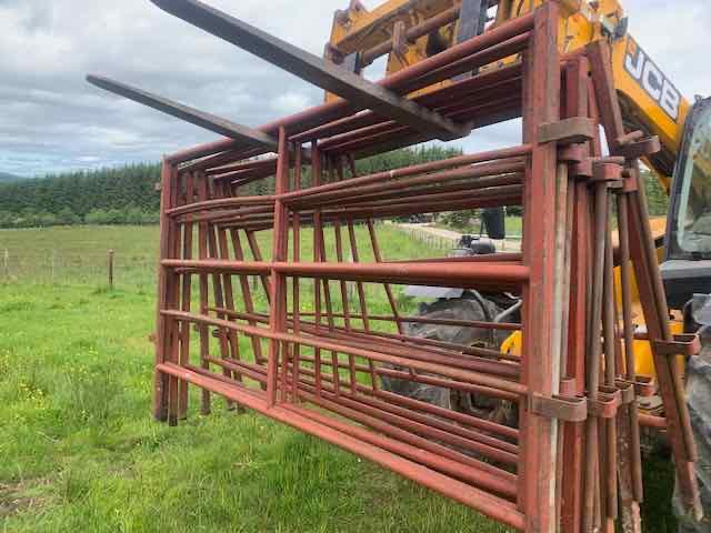 Cattle Handling Gates / Stock Gates, Set of 10, West Aberdeenshire