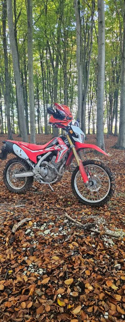 Honda, CRF, 2019, 250 (cc)