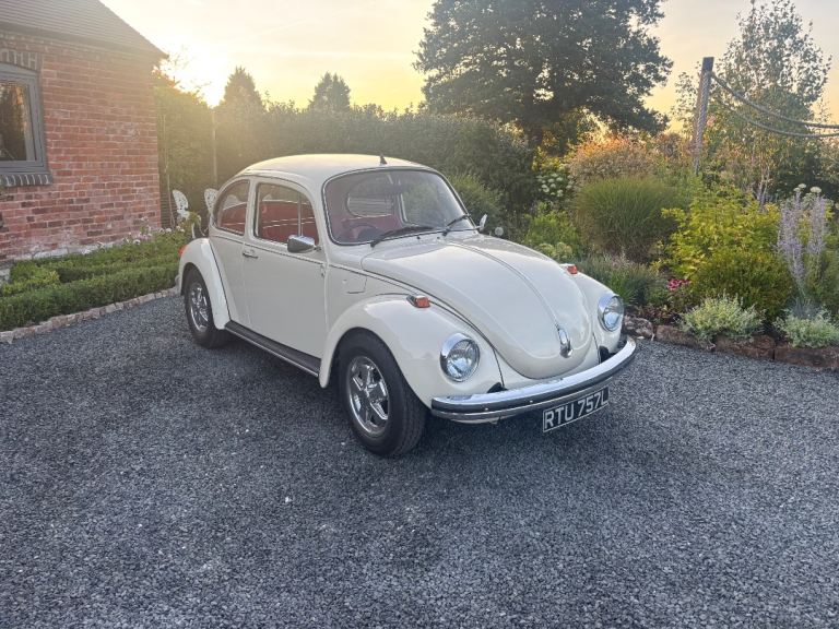 Beetle 1303s