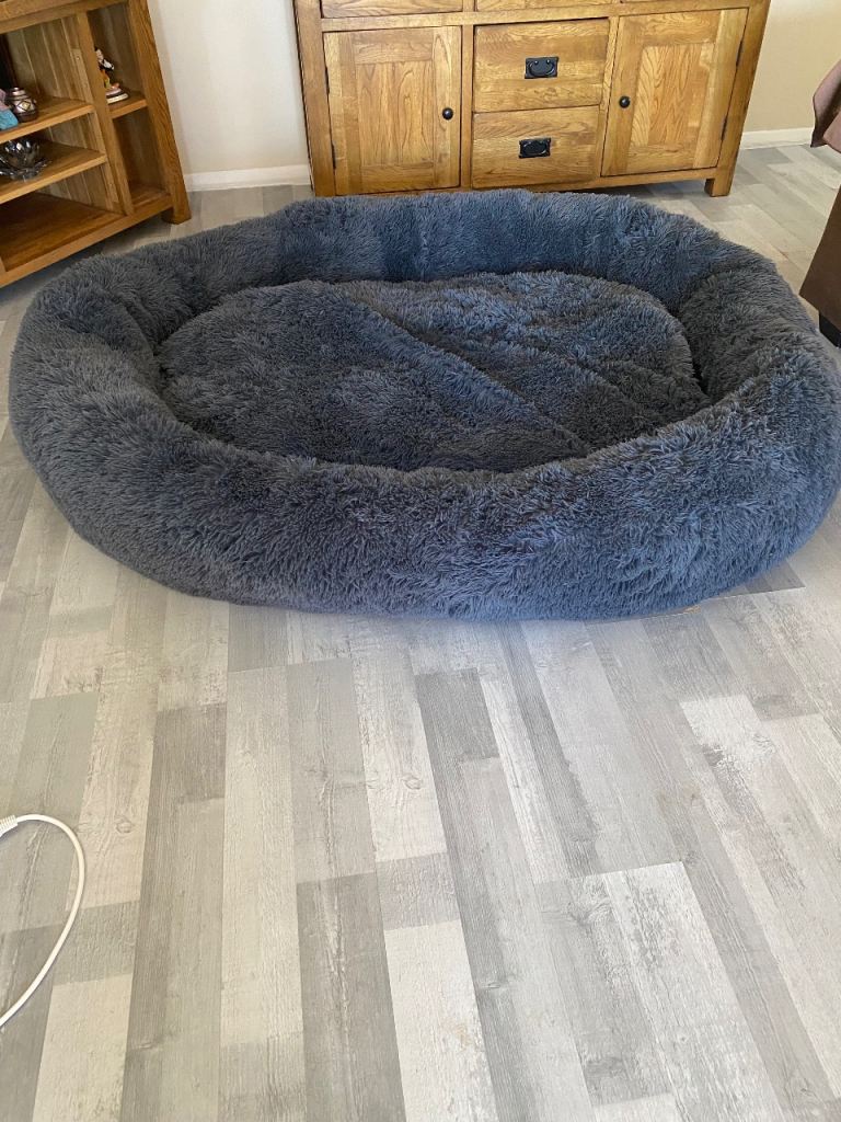 Dog  bed very large