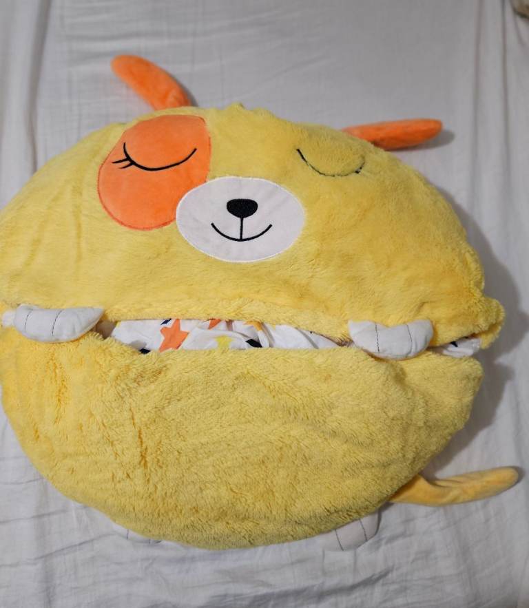 Kids Sleeping Bag / Cushion