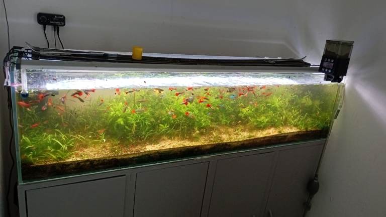 Aquarium 120cm Shallow tank joblot