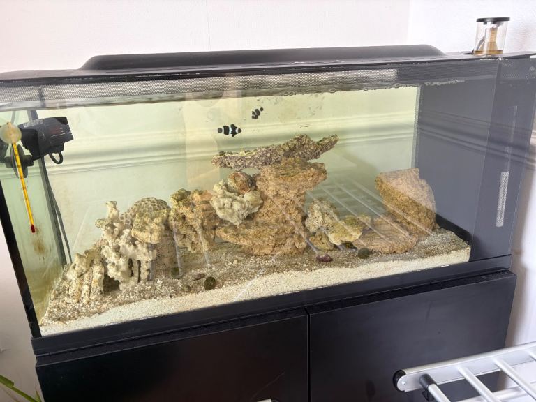 TMC First Wave 78L full set up with fish