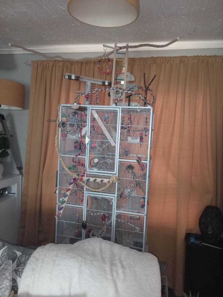 Large bird cage + loads extras