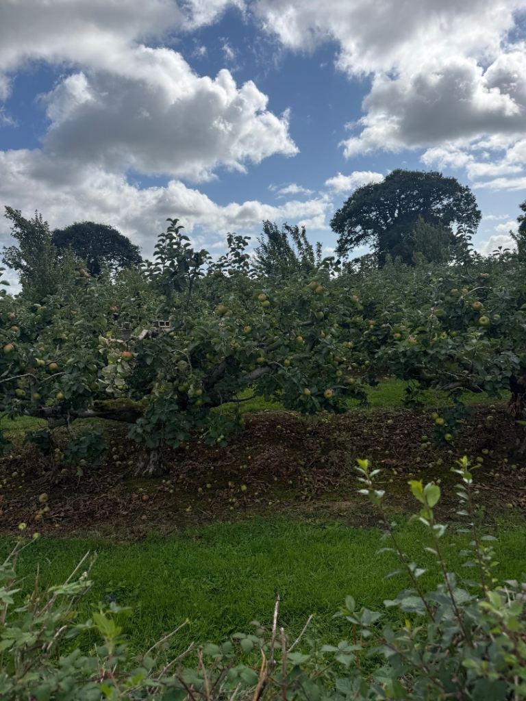 tractor driver and apple picking job’s 