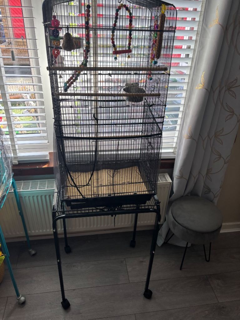 Budgie cage