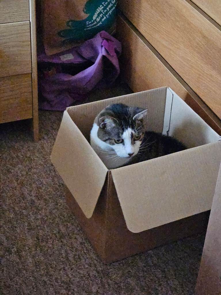 Lots of different size boxes free 