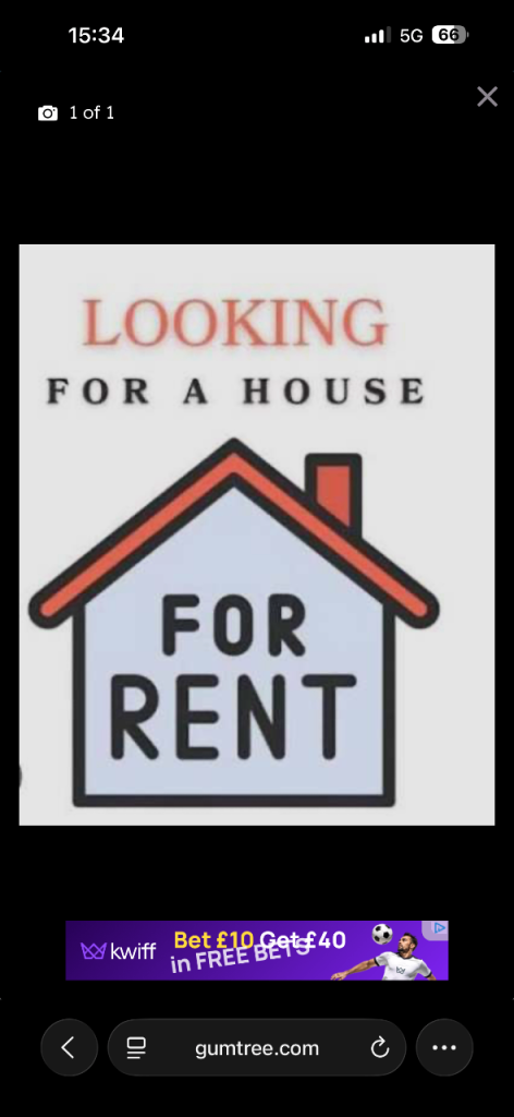 Looking for rent