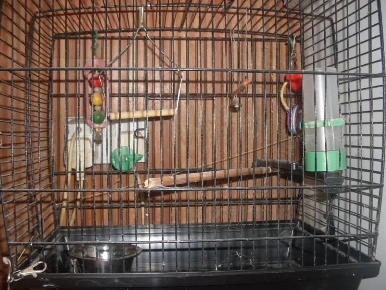 AVARY + ALL THE BITS YOU WILL NEED FOR KEEPING BIRDS IN.