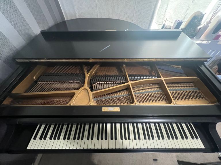 Schweighofer Grand piano 