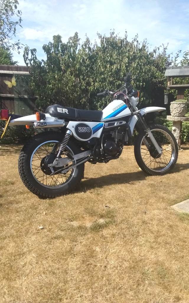 Suzuki, 1981, 246 (cc)