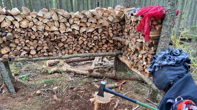 🔥 Seasoned Firewood for Sale – Support a Local Young Seller! 🔥