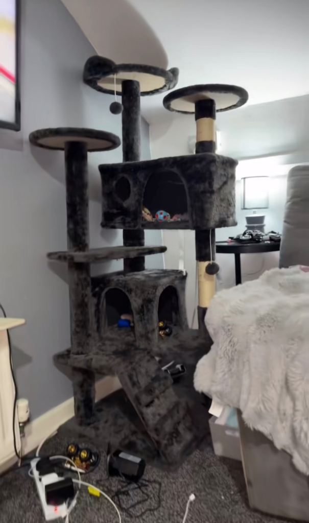Brand new cat tree - 138cm tall x 49cm wide 