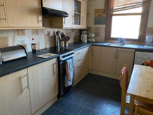 Dundee: get a new home for Christmas