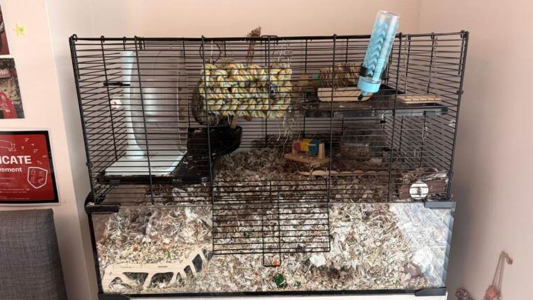 Gerbil cage with Accessories 