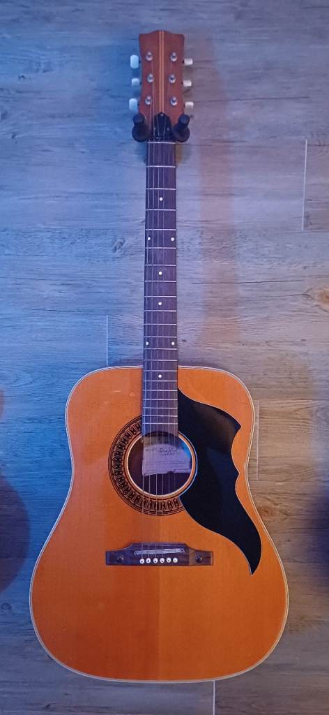 Original 1960's Eko acoustic guitar 