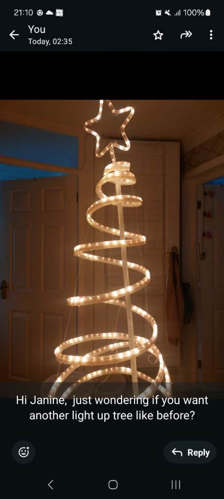 Outside Christmas Tree Light 