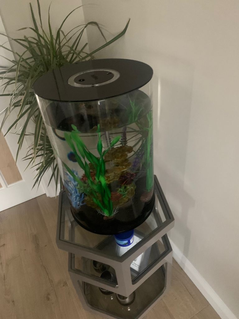 Round fish tank including plants artificial, gravel black and airline
