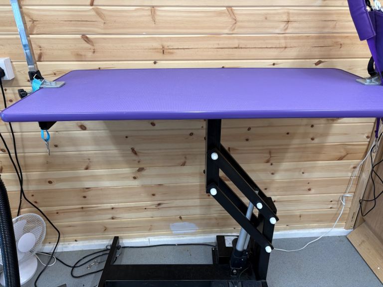 Electric grooming table