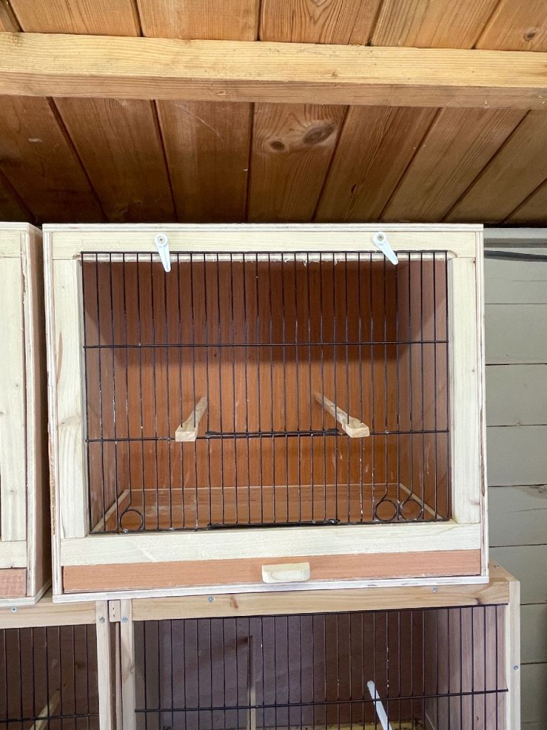 Canary breeding single cages 
