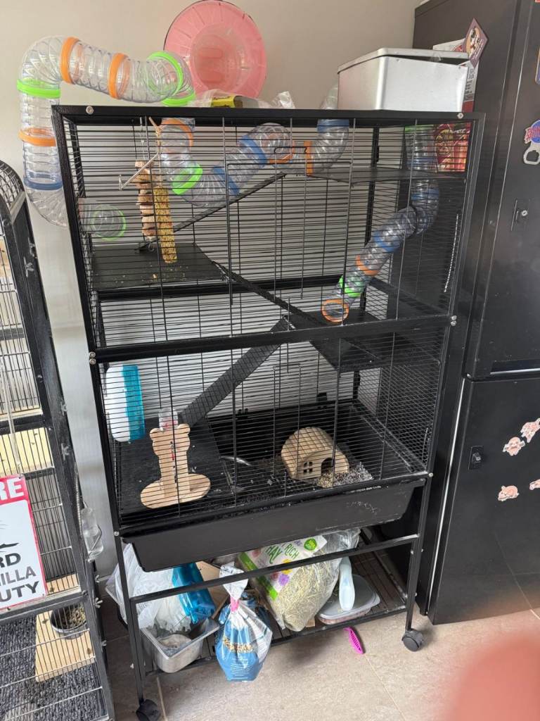 Large hamster cage