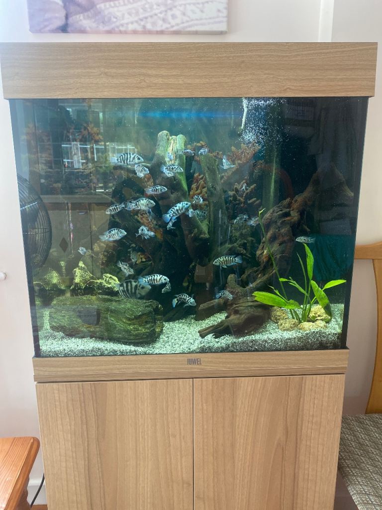 Juwel Lido 120 aquarium and stand 
