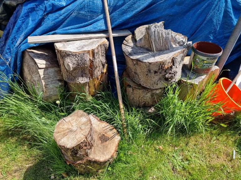 Logs