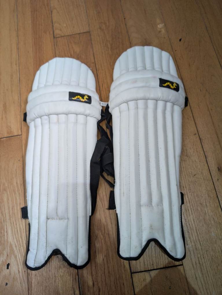 Junior Woodworm cricket pads 