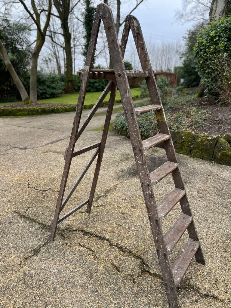 Vintage Step Ladder