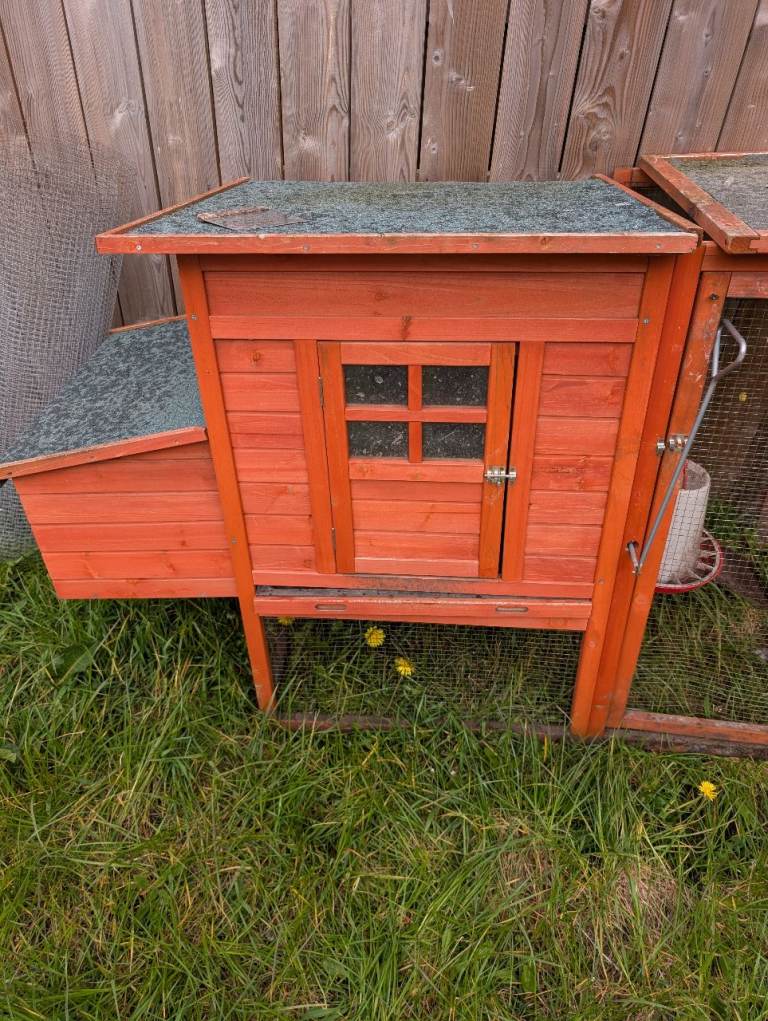 Chicken coup 