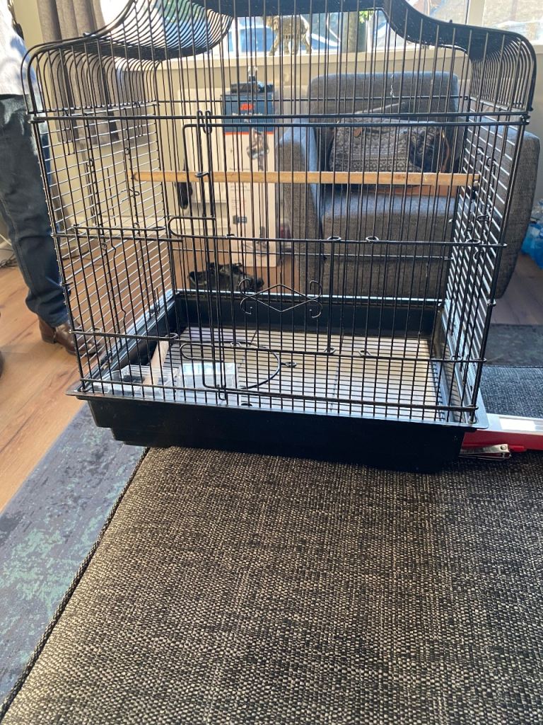 Metal Bird cage