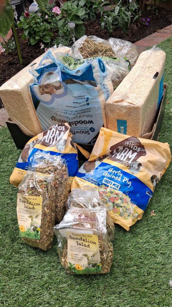 Guinea pig food