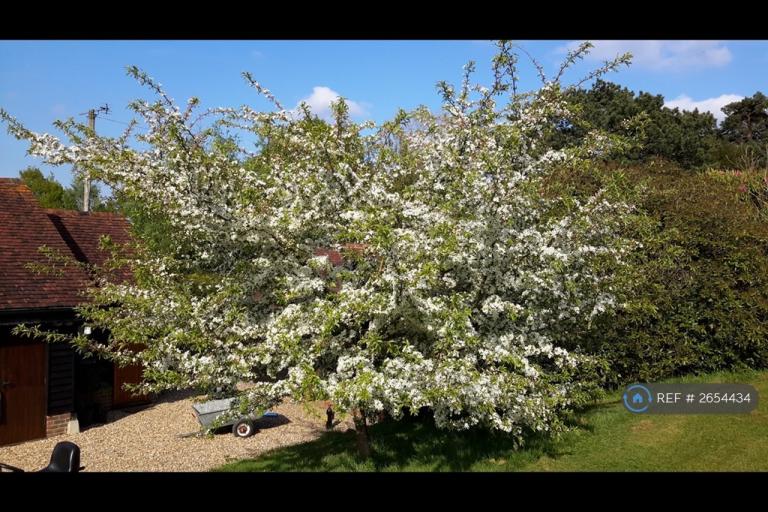 1 bedroom house in Crayden Oast, Goudhurst, Cranbrook, TN17 (1 bed) (#2654434)