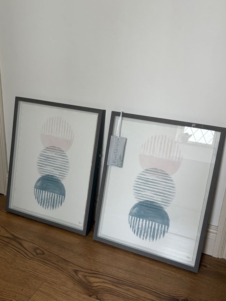 2 x Framed Pictures 